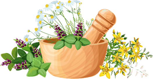 Bowls in herb